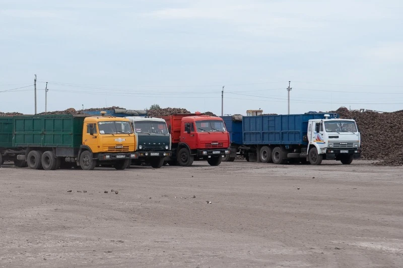 ✅ В Тамбовской области убрали половину всех площадей сахарной свёклы