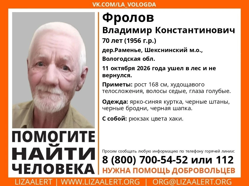 В Шекснинском округе ищут 70-летнего мужчину, ушедшего в лес