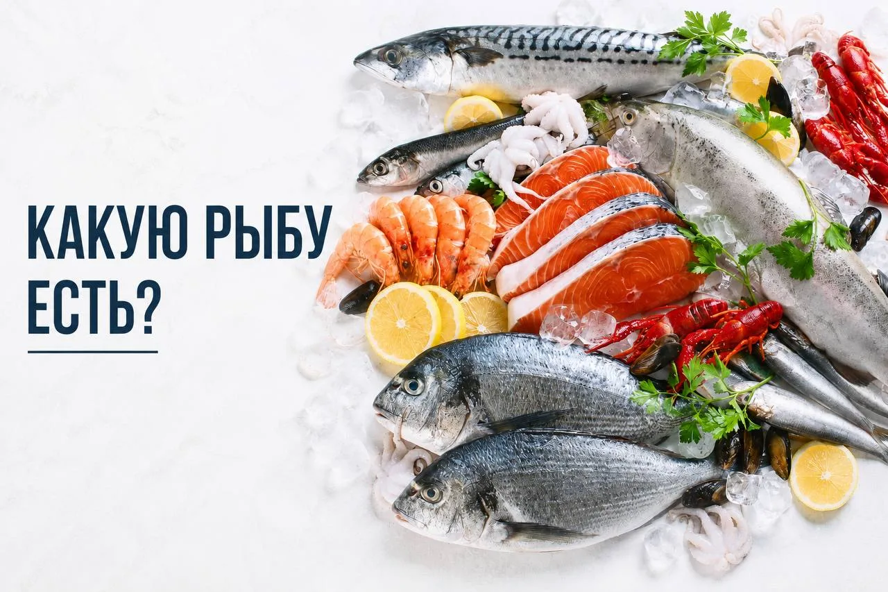 КАКУЮ РЫБУ ЕСТЬ?