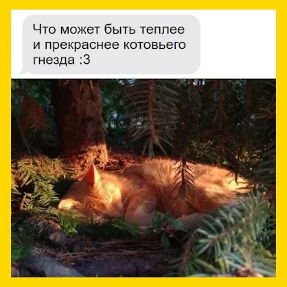 Полный Хохотамбл! Подпишись скорее