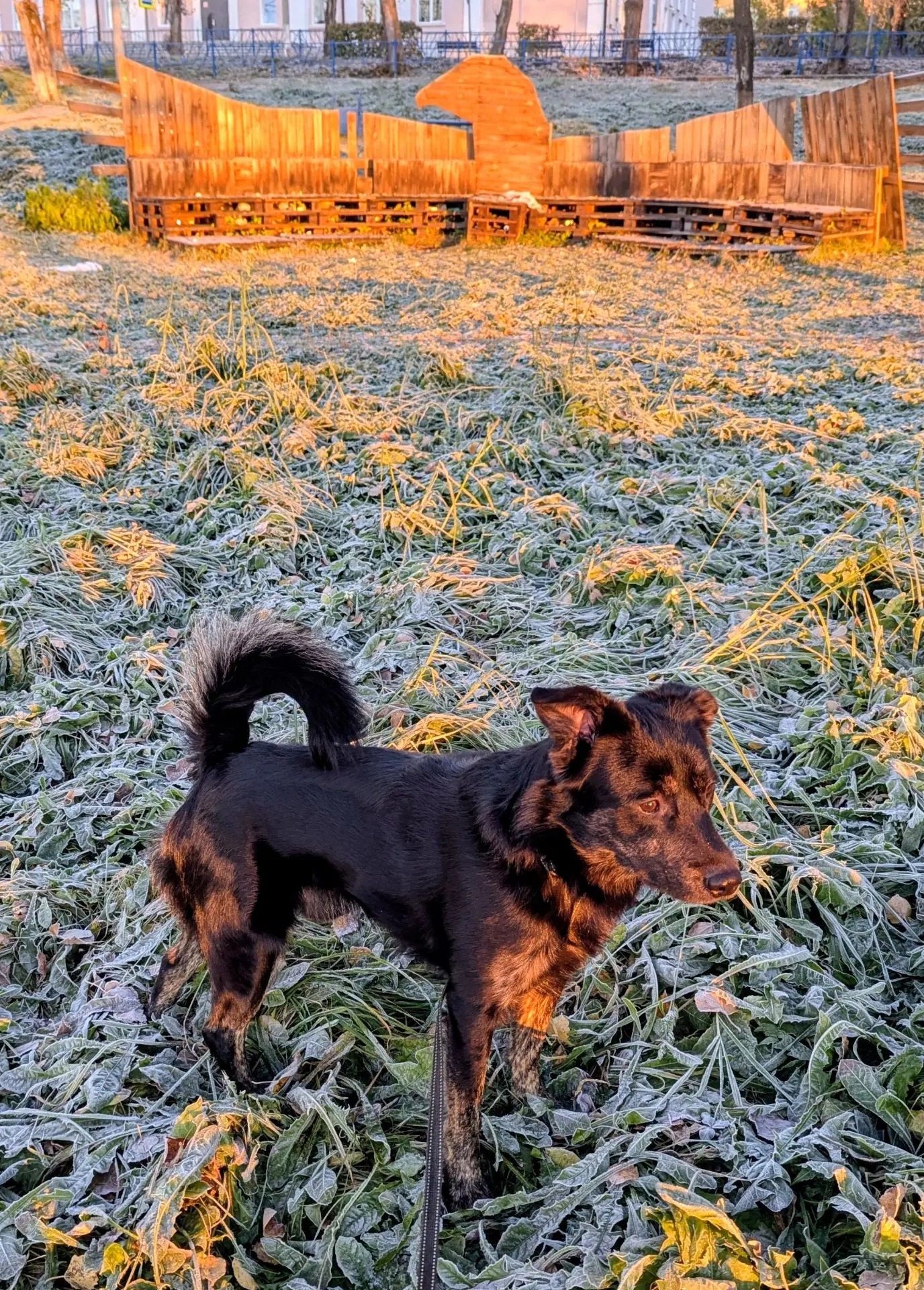 Доброе утро  ❄☀