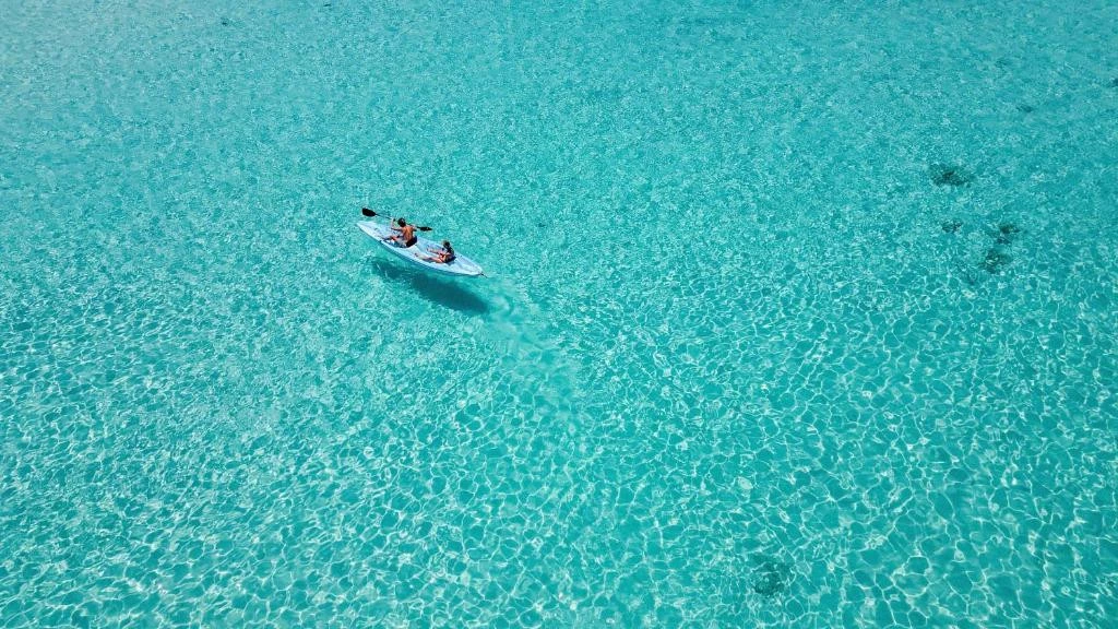 За всеми оттенками синего - на Мальдивы🏝️