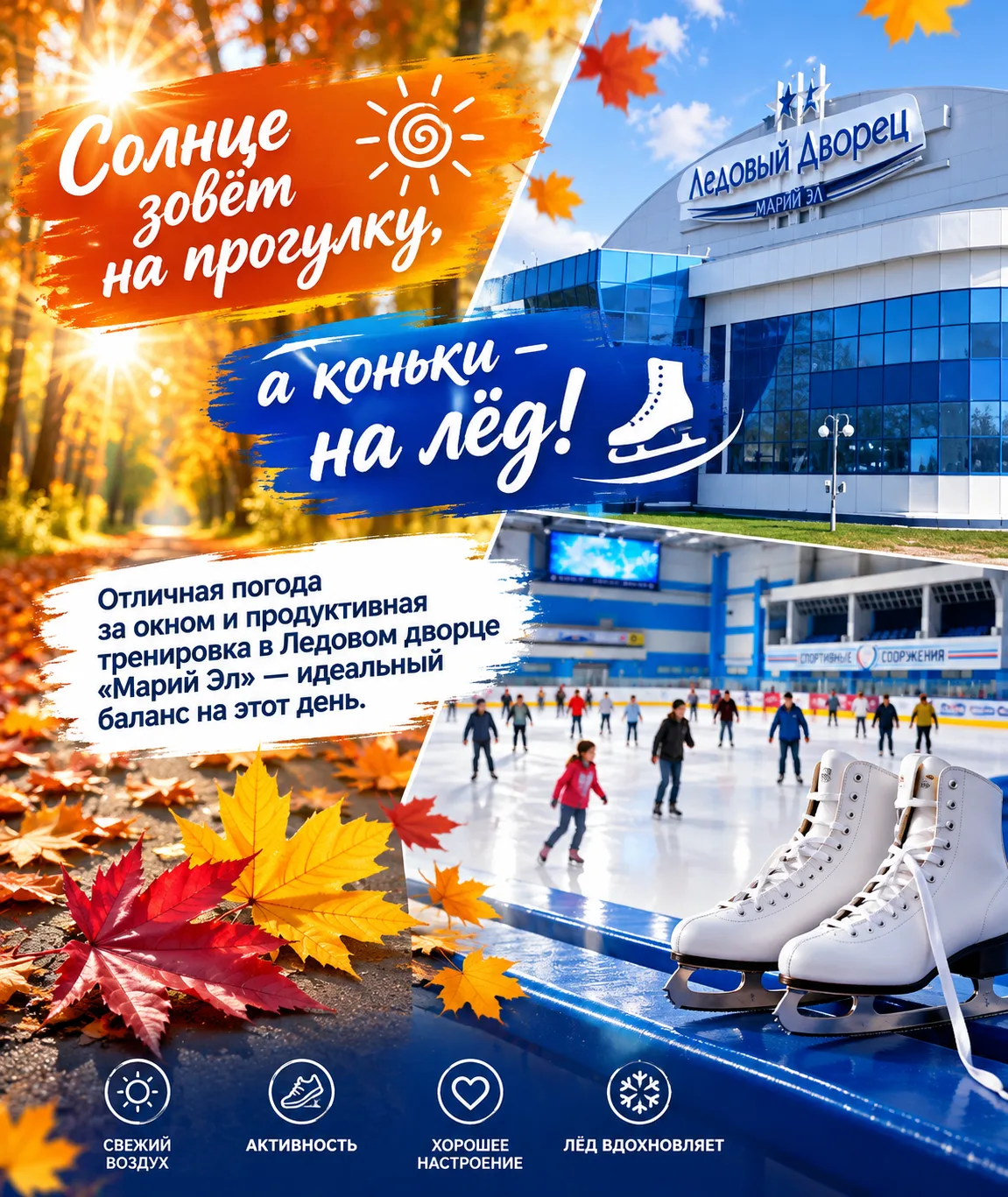 Каждый день — идеальный день для катания! 🙌