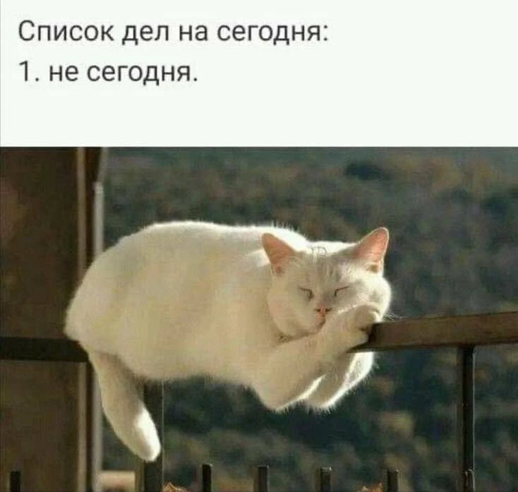 Подпишись на юмор 😂