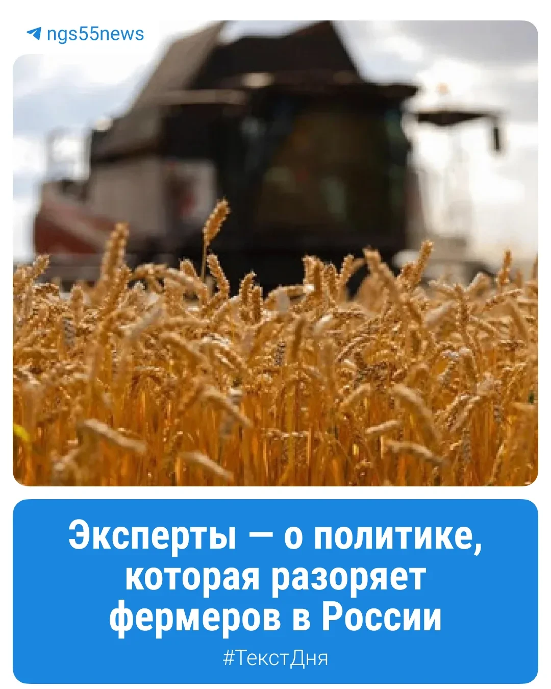 Зерно дешевеет, фермеры беднеют