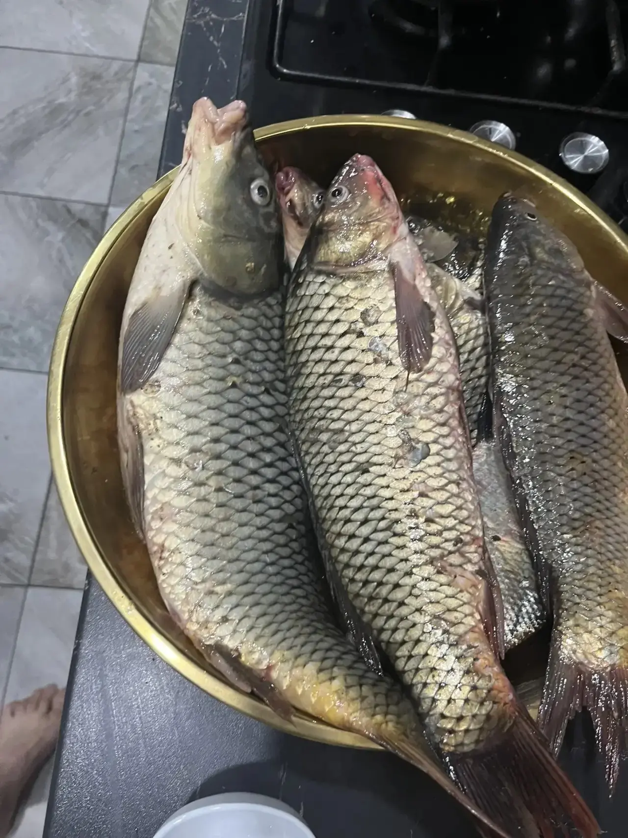 Хутор Лебеди бетонка 12.10 на 13.10 .Воды мало да и клев слабый🐠