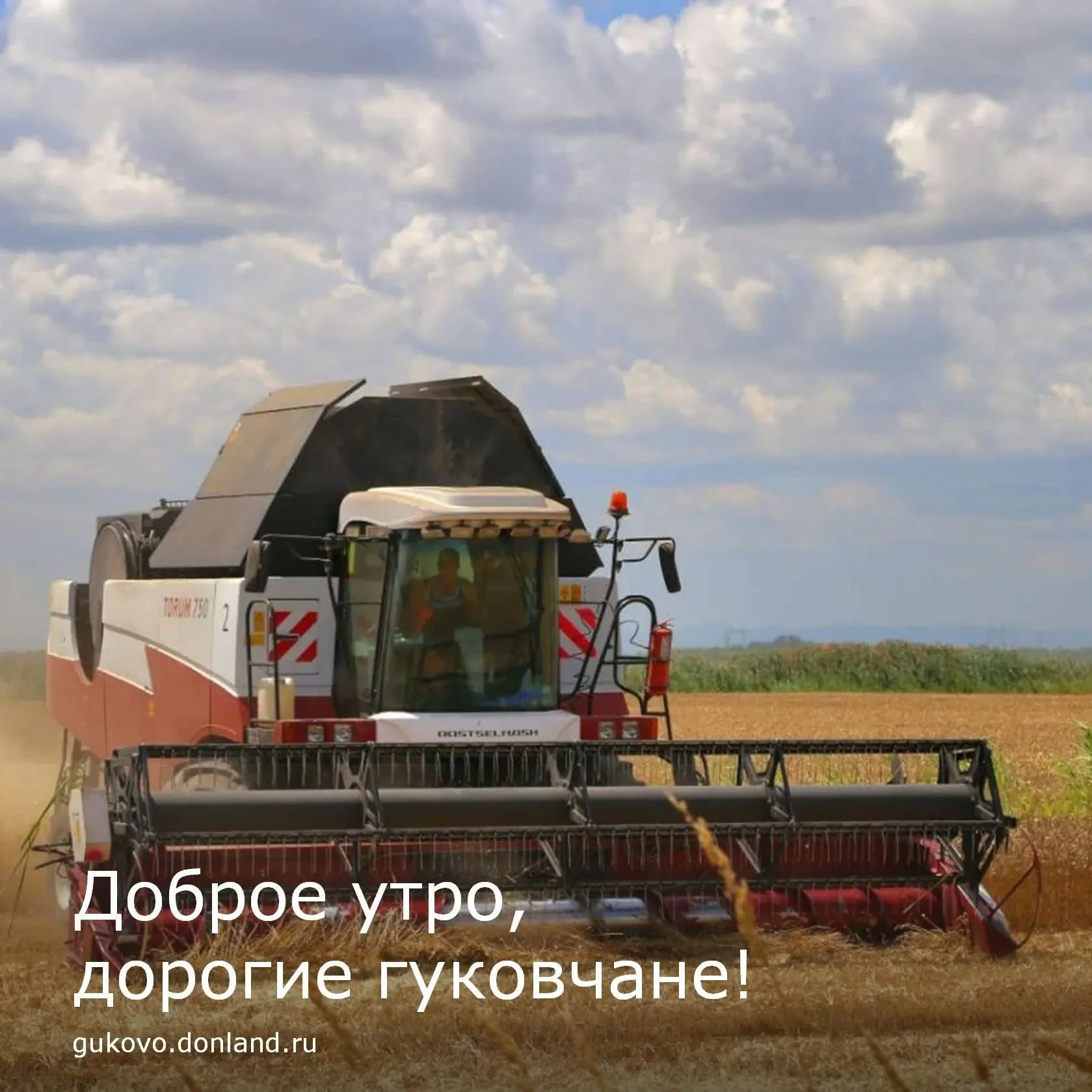 🍂 Сегодня — День работника сельского хозяйства