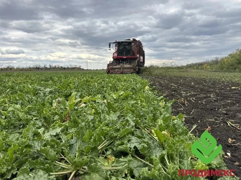 В Воронежской области установилась теплая погода без осадков🙂 По мнению специалистов а...