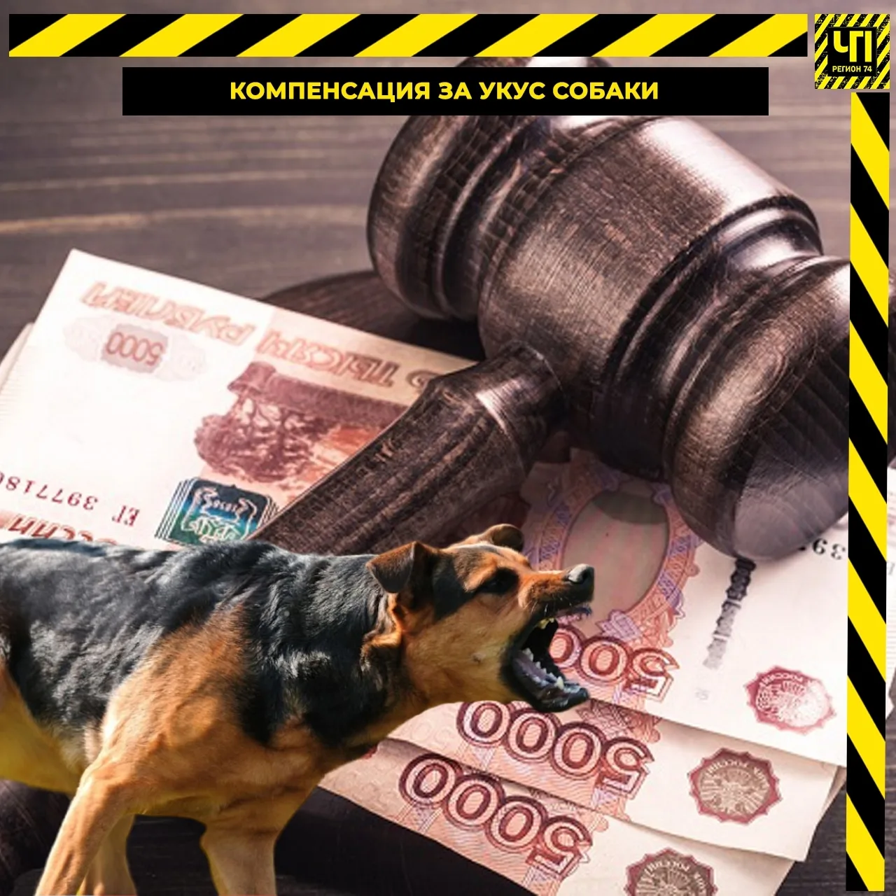 🐕 Копейская мэрия заплатит деньги за укус ребенка собакой