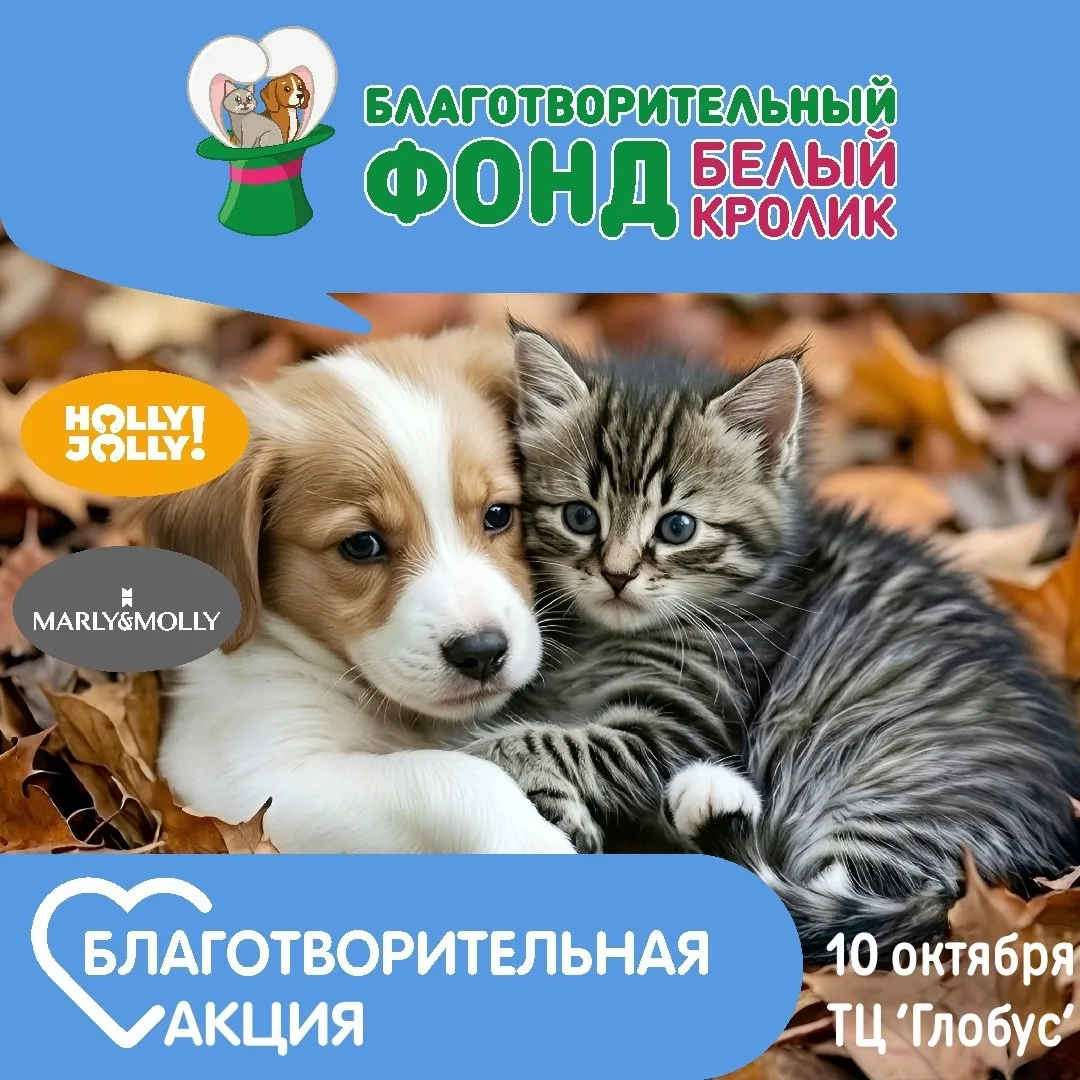 ✨Друзья, объявляем Добрые выходные!✨