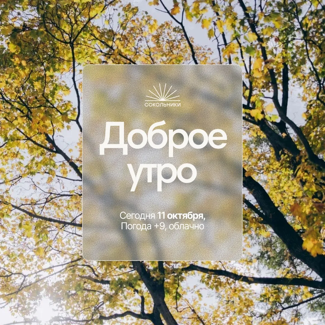 Доброе утро!