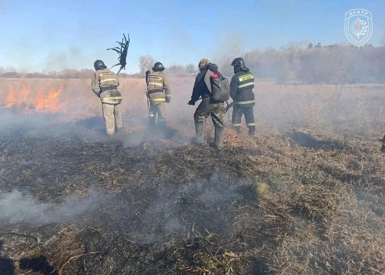 В Тамбовском округе ликвидировали пал на 150 гектарах, но на следующий день там снова п...