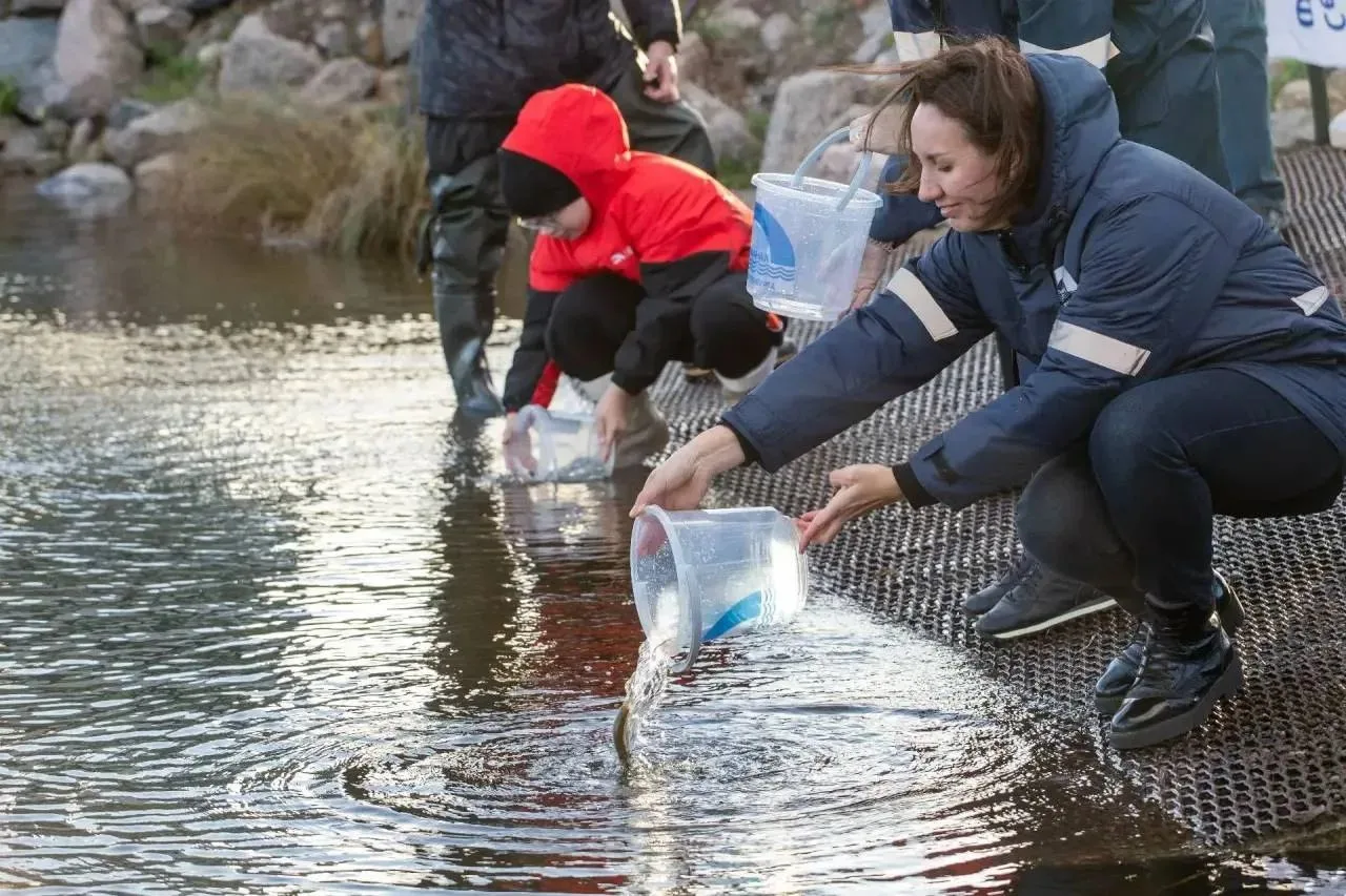 🐟 Сезон зарыбления 2026 года завершён: в Кронштадте 6 октября  в Финский залив выпусти...