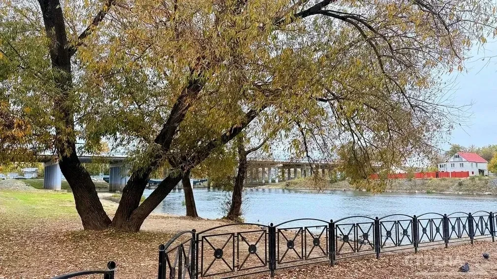 ⛅Завтра, 10 октября, в Брянской области будет облачно с прояснениями. Ночью ожидается н...