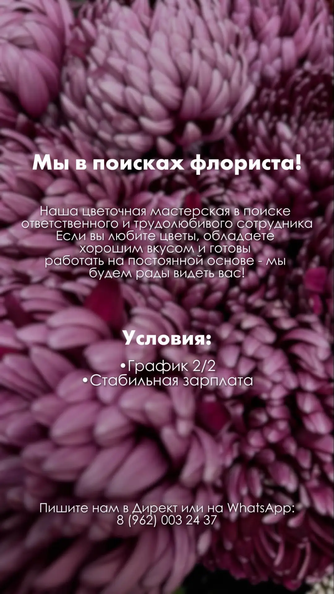 Цветочная мастерская Мисс Мимоза в поисках флориста.
