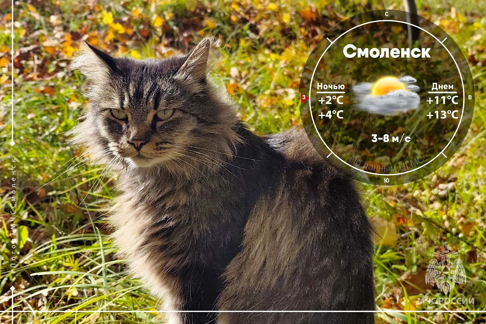 В прогнозе туман и заморозки