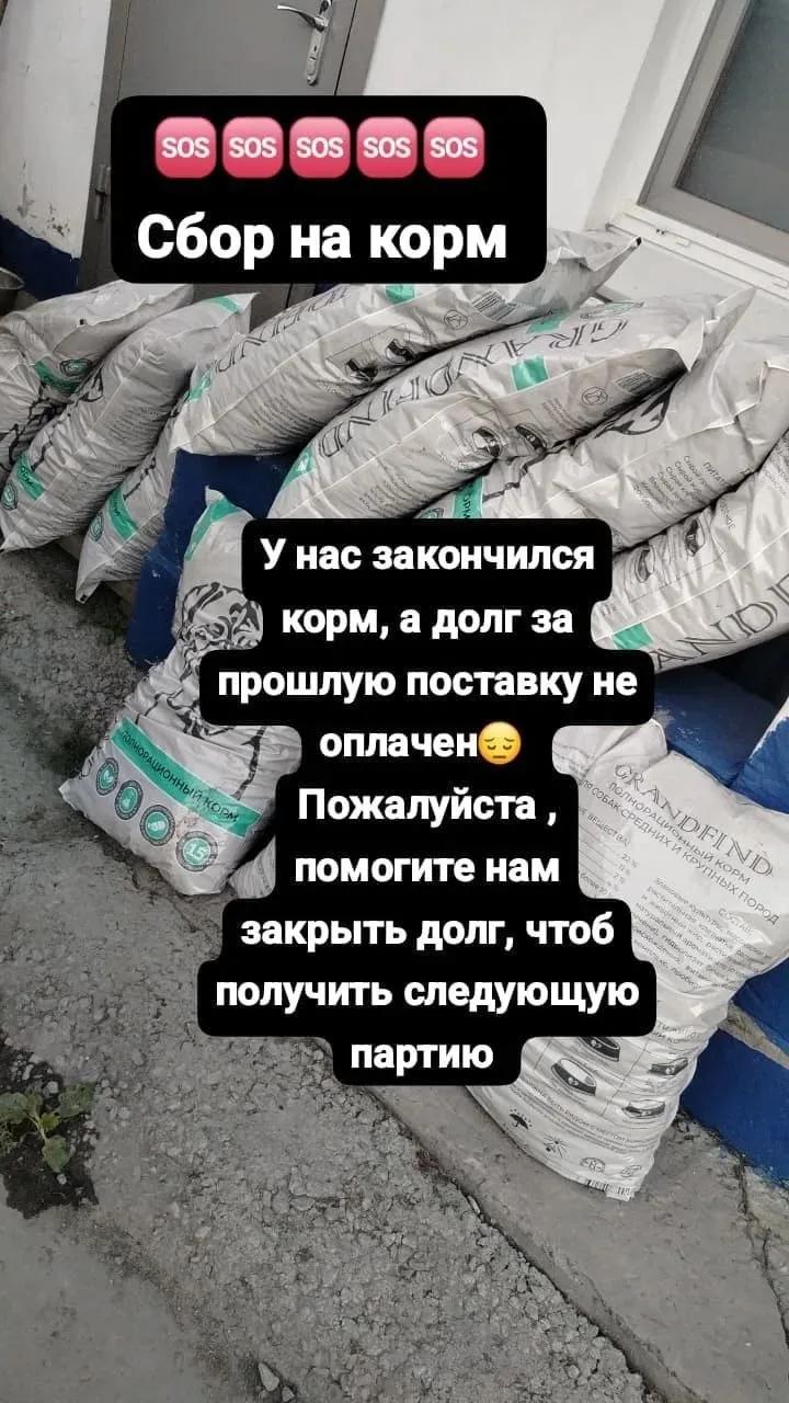 Добрый день, всем.