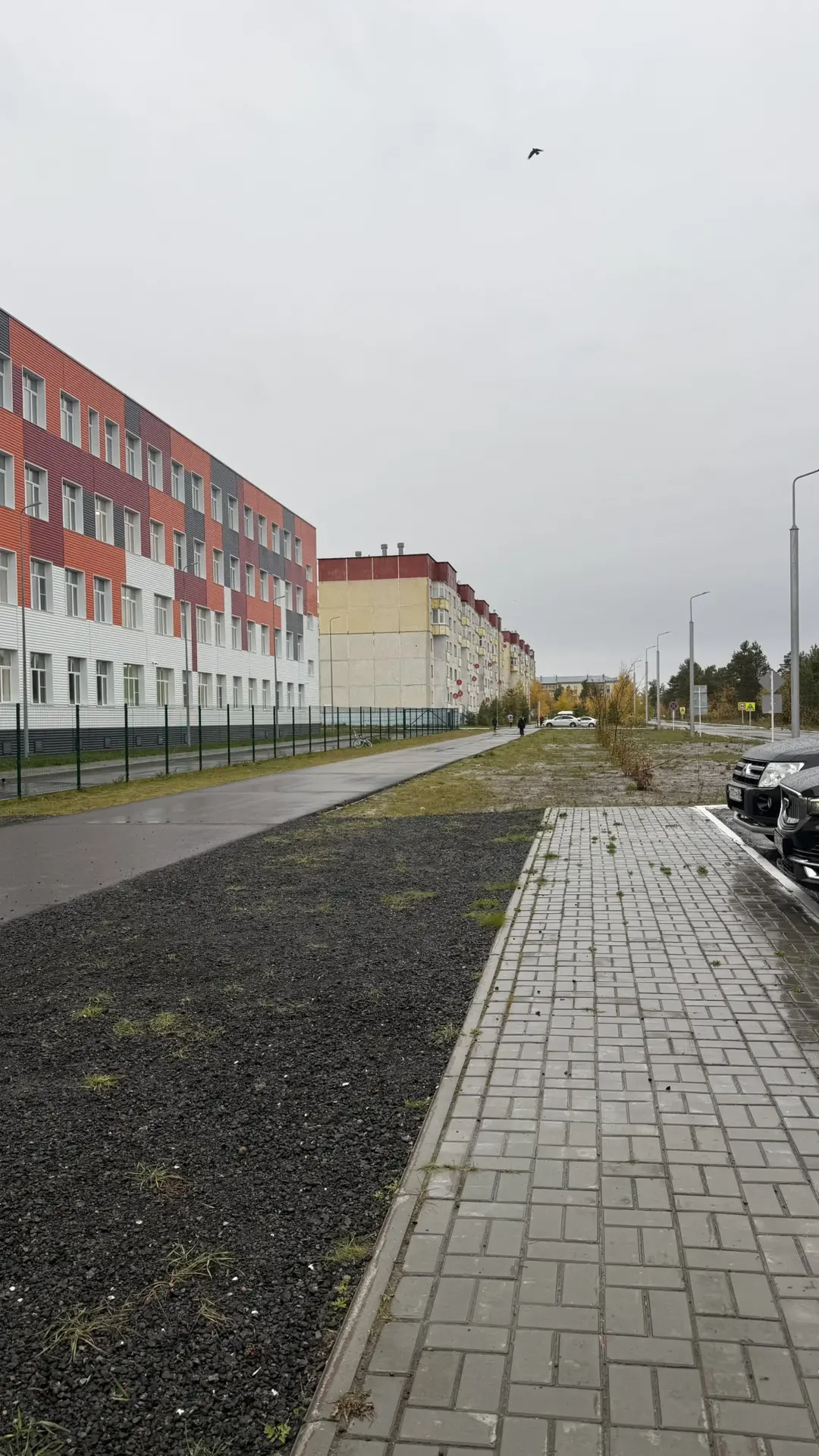 Зима пришла нежданно — прямо 5 октября, в День учителя🍁🍁🍁