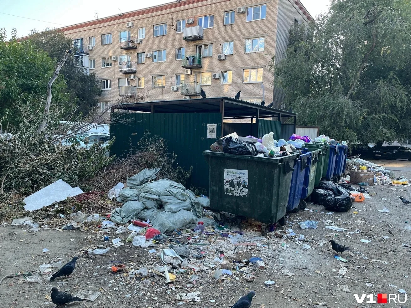 Горожане возмущены состоянием контейнерной площадки у «Дома малютки».