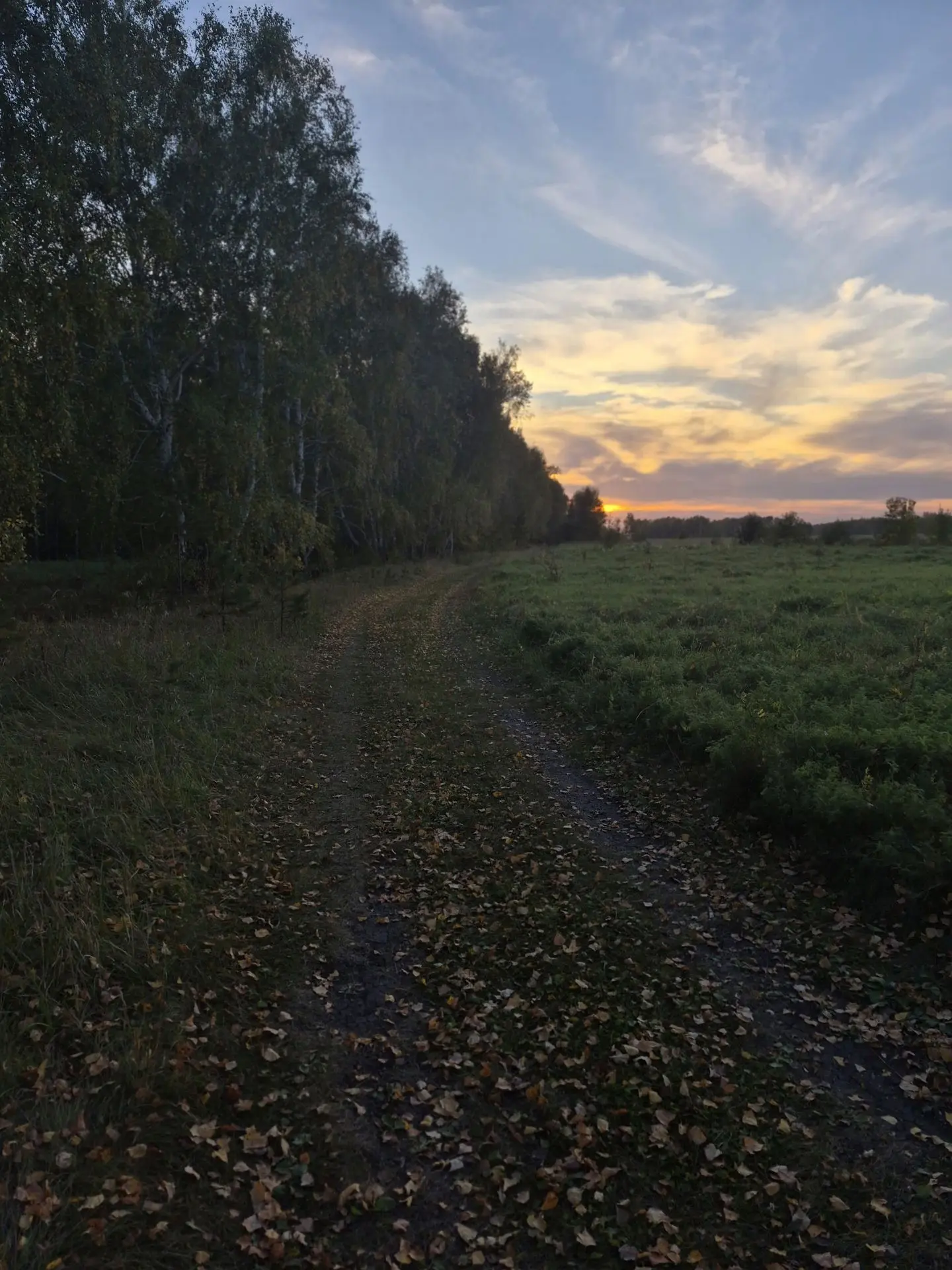 Приметы осени