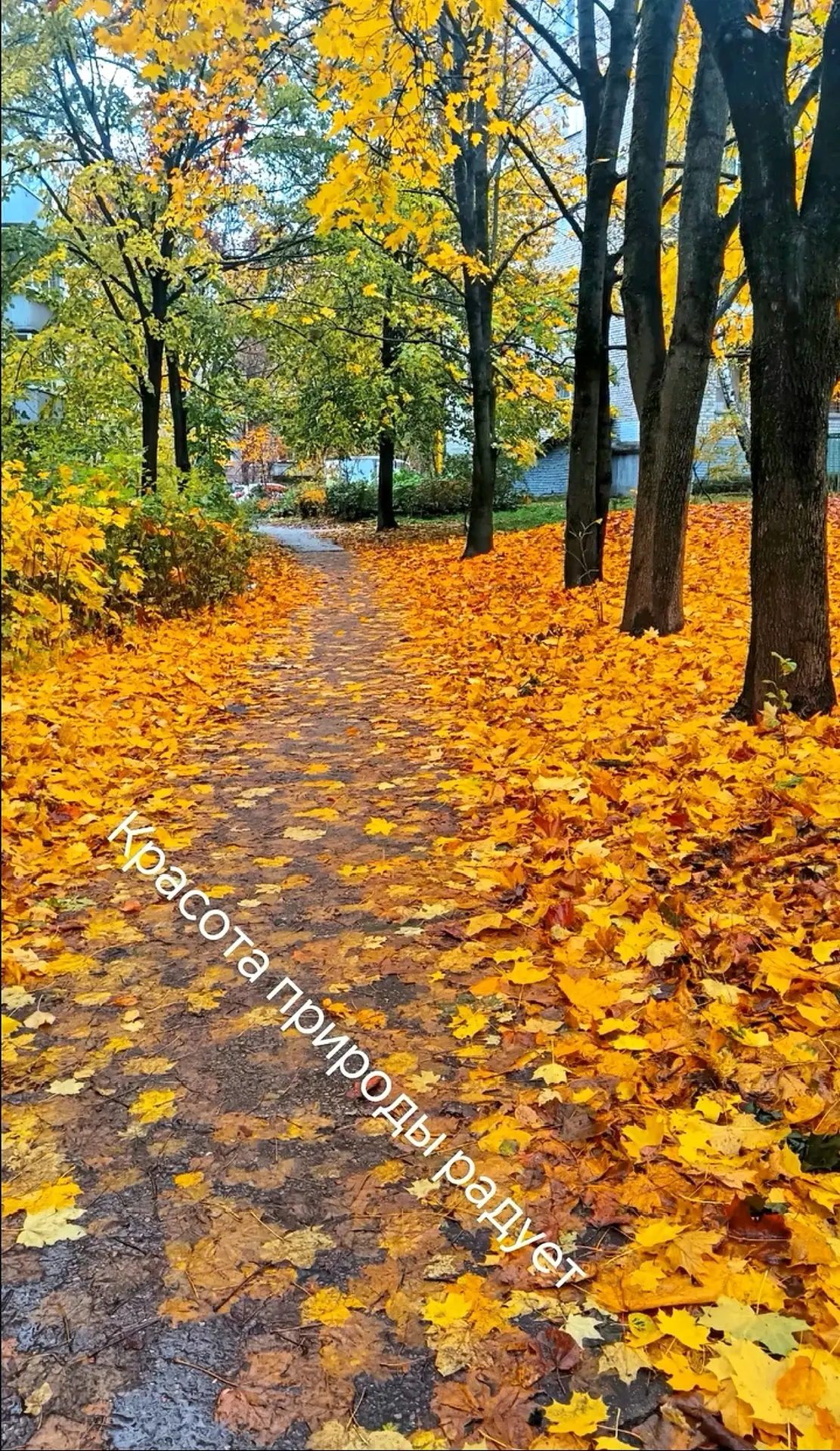 Селятино.