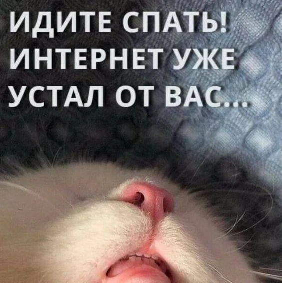 Спасибо за реакции — очень ценю!