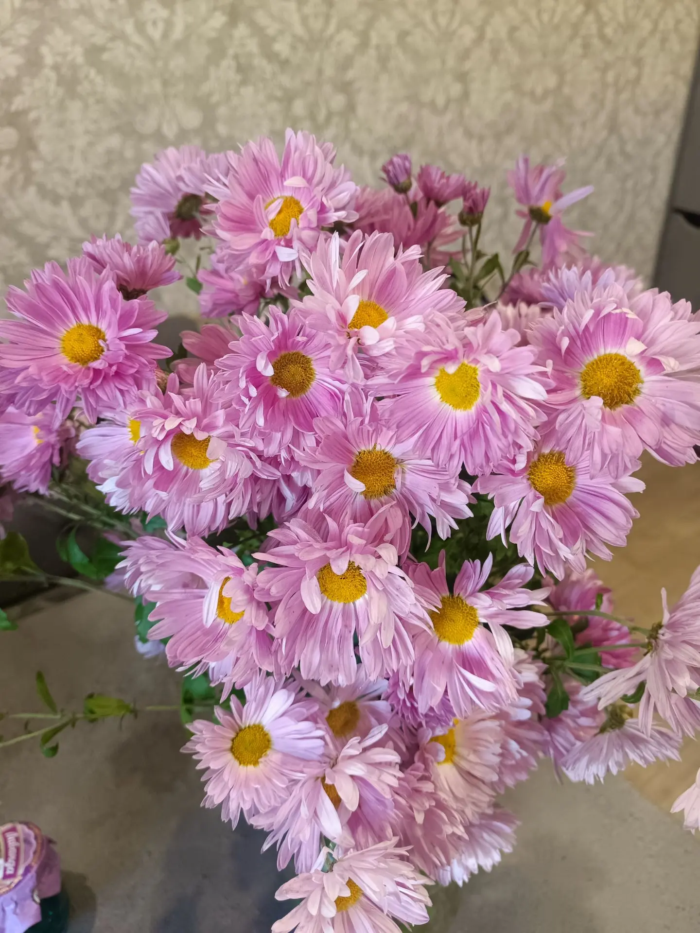 Уже снег лежит,а у меня ещё цветут цветы ❤