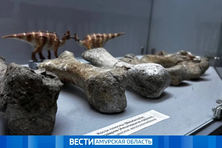 Динозавры как бренд: в Приамурье туристы смогут участвовать в раскопках