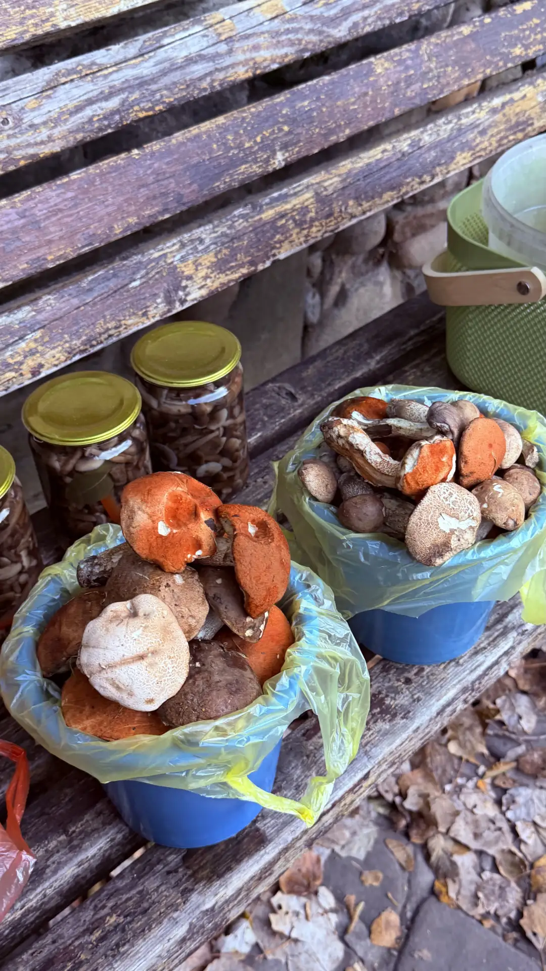 Вчера поздно легла, т.к. я приперла те самые 🍄‍🟫 и надо было их переработать. Я первы...