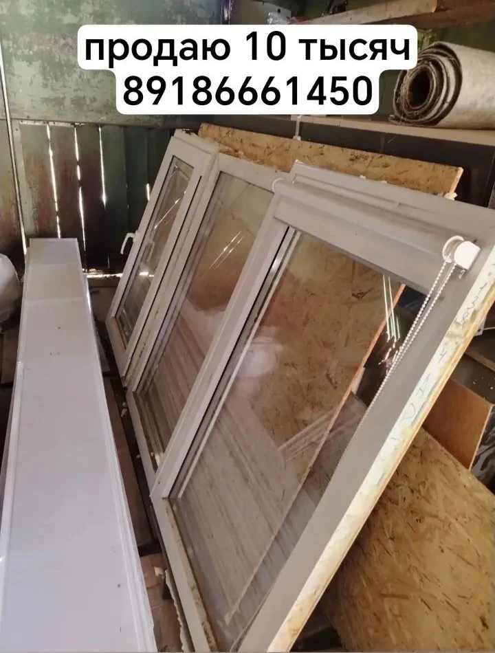 тел. +79186661450