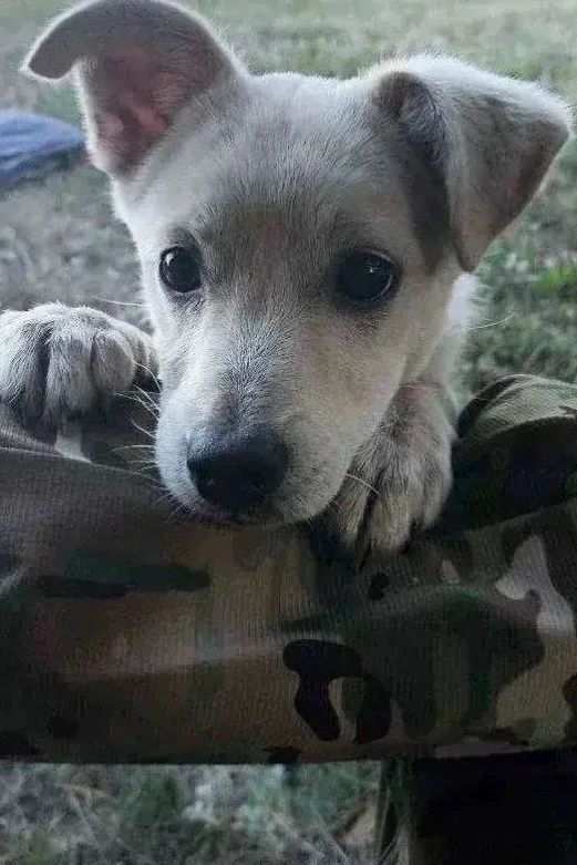 Те, кто дарит тепло без слов ❤️