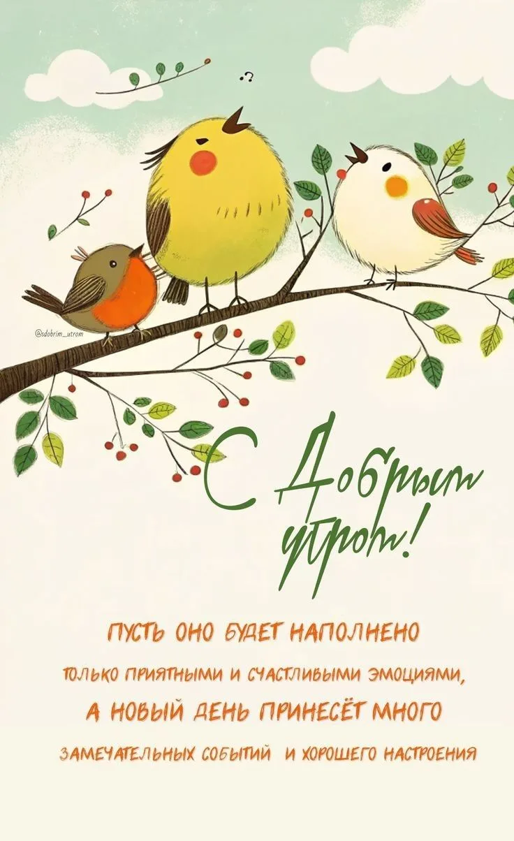 Открытки дня❤️