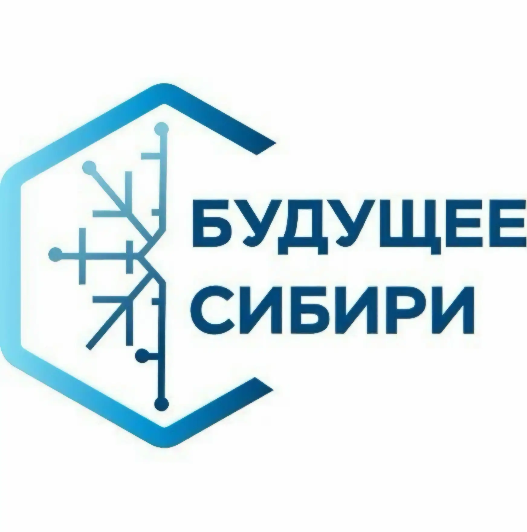 🌟 «Будущее Сибири»: олимпиада для 8–11 классов!