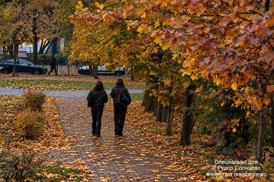 Осенняя прогулка у малого пруда