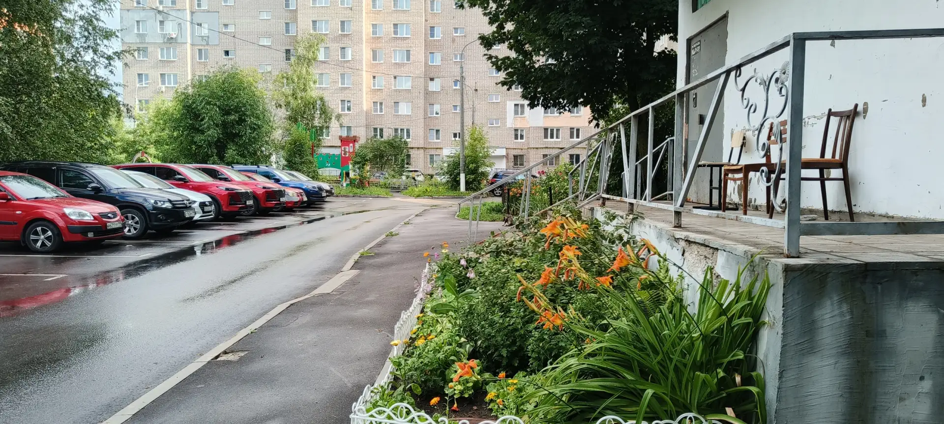 Ищем очередного пятничного котика 😻