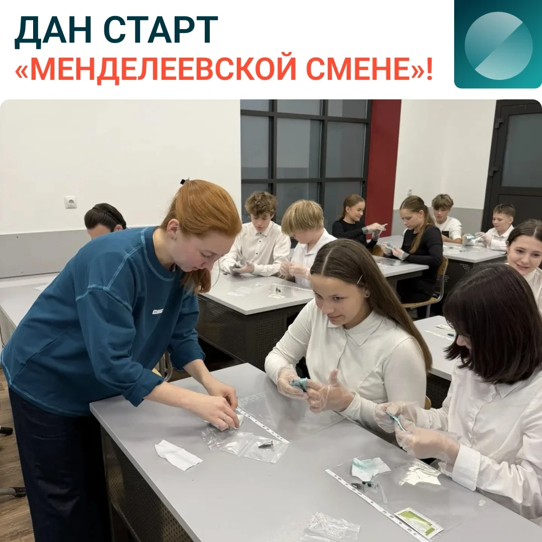 Мы вернулись в школы