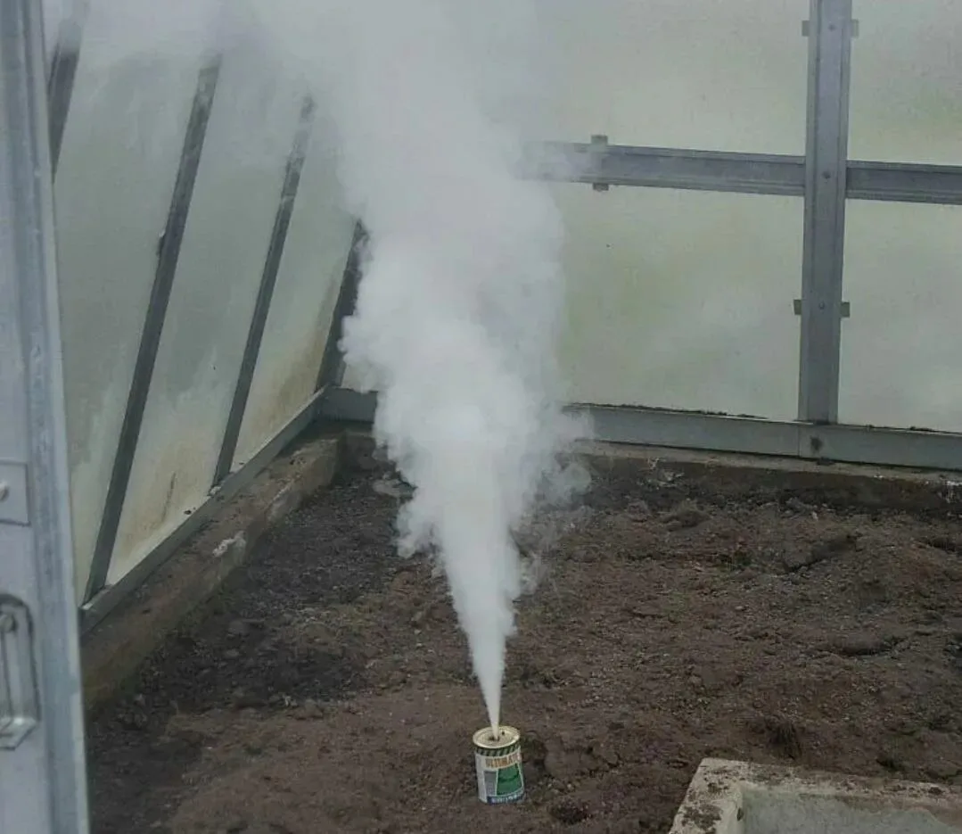 💧 Жителям Киреевского района рассказали, как окурить теплицу сернистым газом​