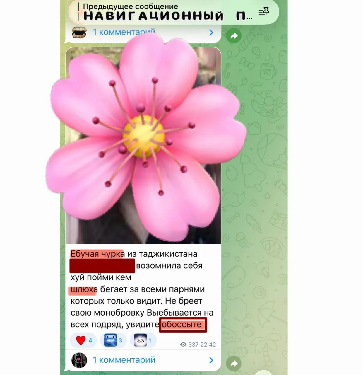В Приморье полицейские установили личность школьницы, причастной к травле детей в Интер...