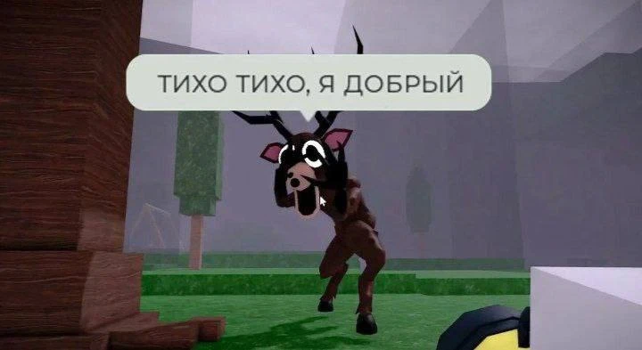 Верим?