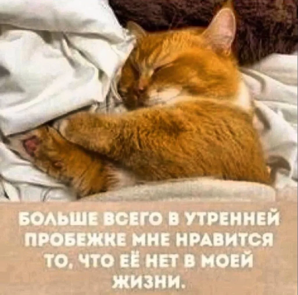 Доброе утро, товарищи 😂☀