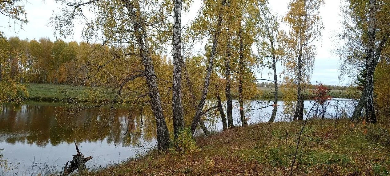 В народном календаре Феофанов день,  Феофан - тёплый карман.