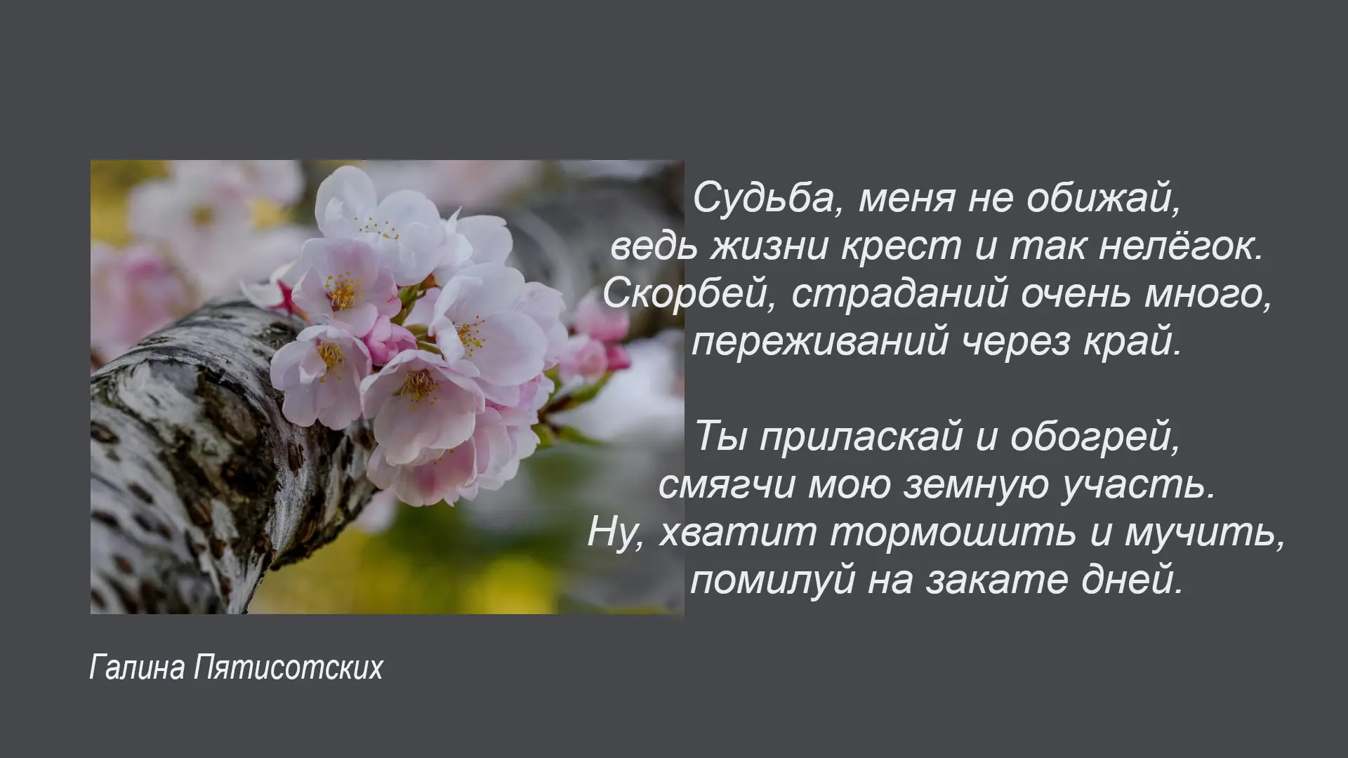 Галина Пятисотских