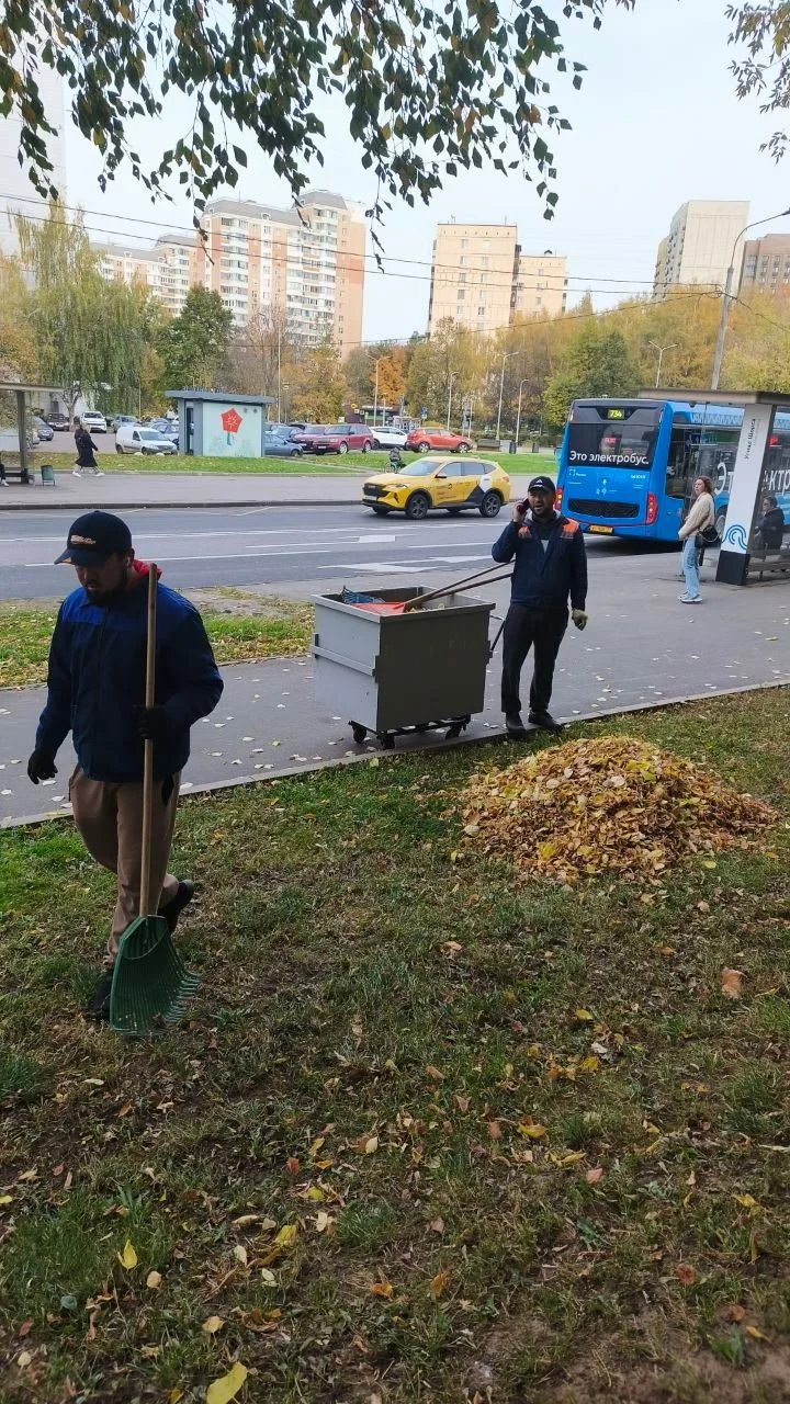 ИЗДЕВАТЕЛЬСТВО НАД НАРОДОМ СОЛНЦЕВО ВОДУХОДУВКАМИ И КРАЖА ЛИСТЬЕВ