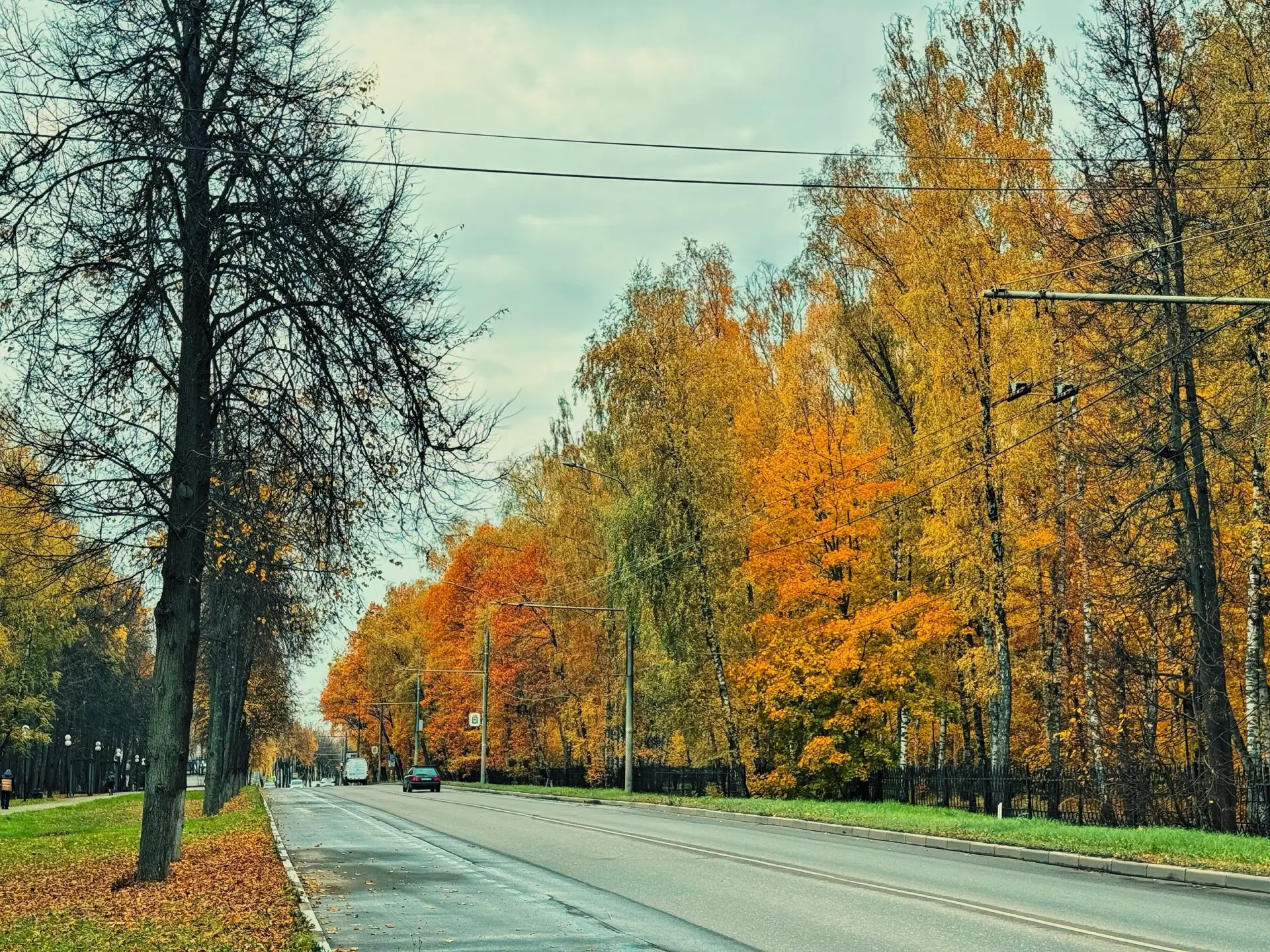 Осень в Видном 🍁