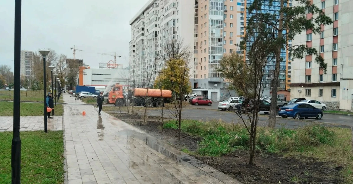 В скандально известной «Аллее возвращения домой» в Уфе высадили деревья