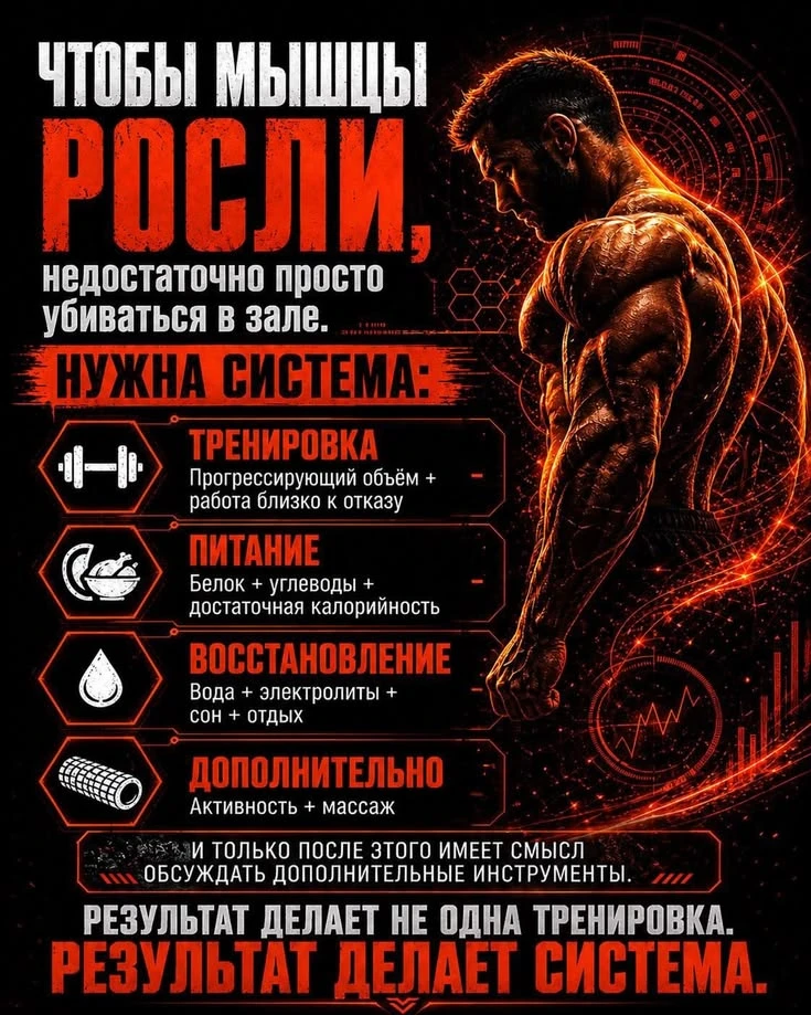 Что нужно, чтобы росли мышцы.