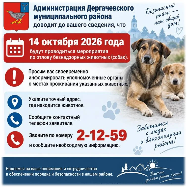 #Отлов_собак