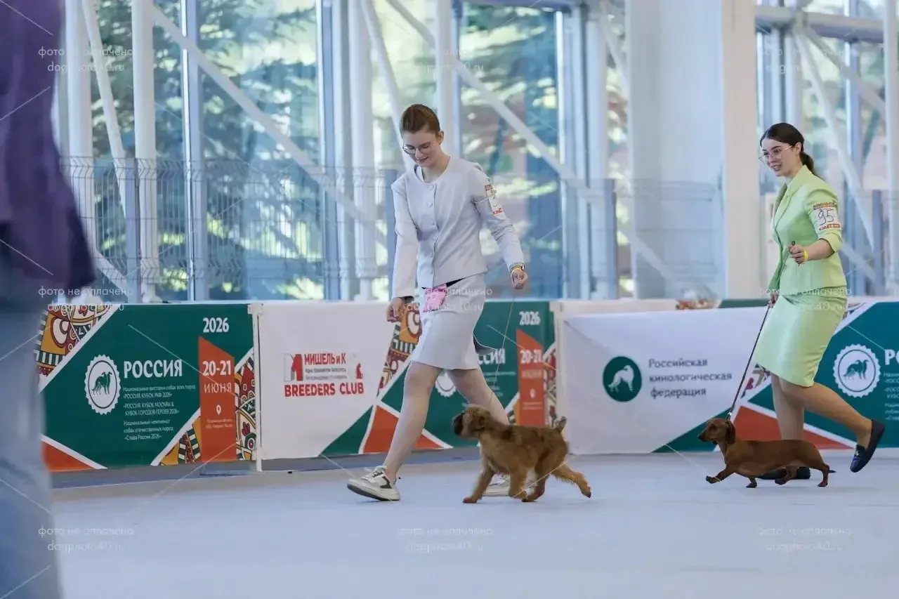 🐕 «Не бойтесь проявить себя!» — знакомьтесь, Полина из 9 «Р»!