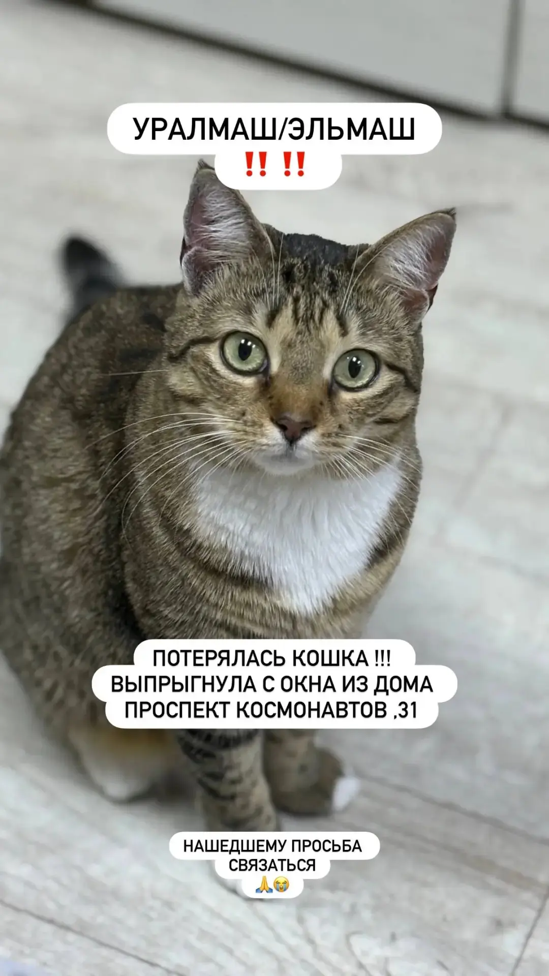 Огромная просьба помочь распространить информацию.