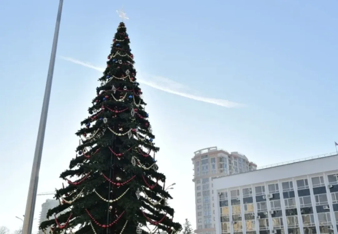 🎄 Новогодние ёлки в Краснодаре собираются установить в период с 25 ноября по 15 декабр...